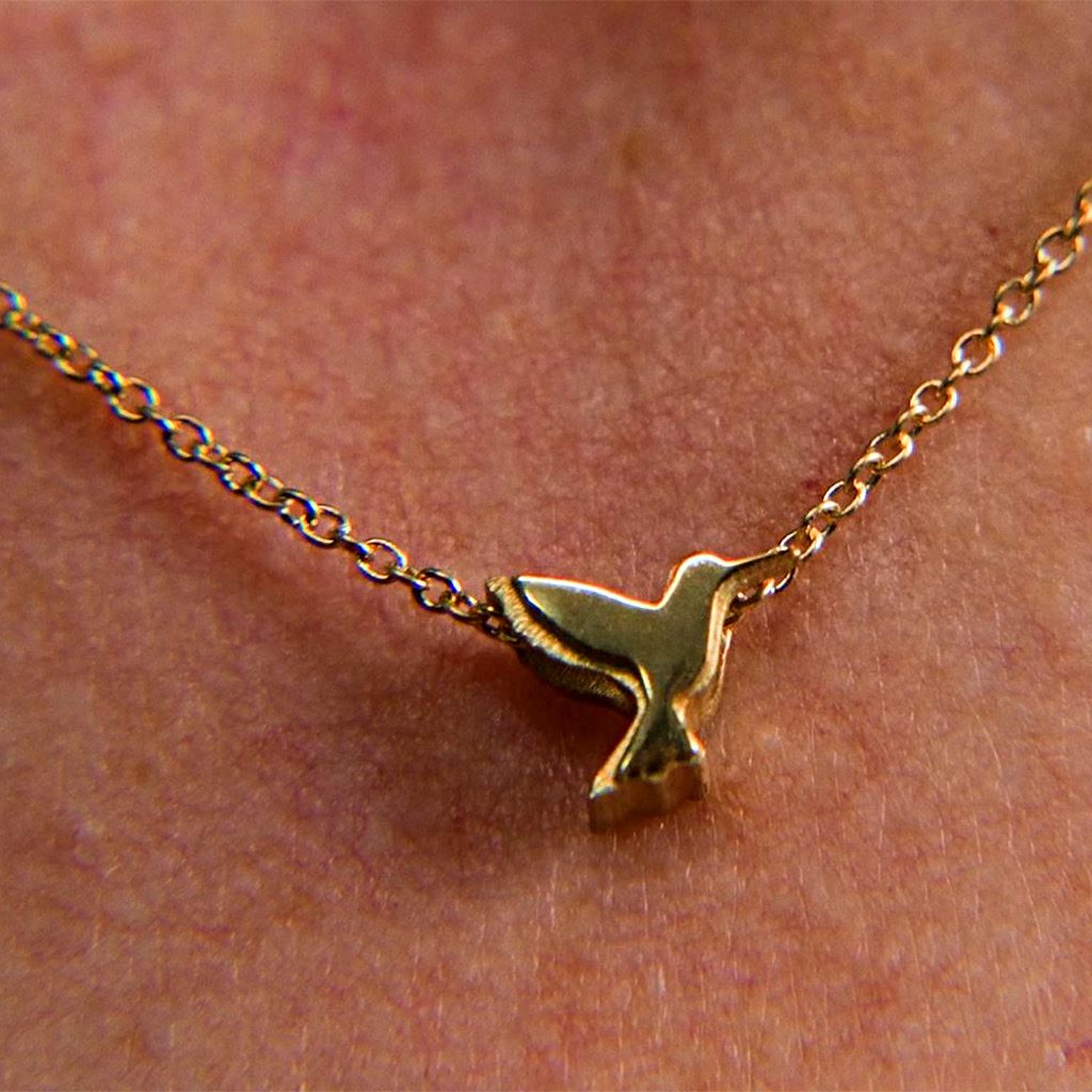 Kolibrie Met Collier – Bild 9